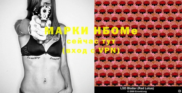 не бодяженный Иннополис