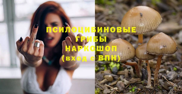 не бодяженный Иннополис