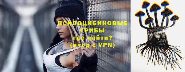 амф Зерноград