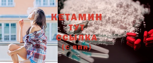 прущие грибы Каменногорск