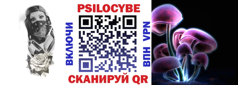 Галлюциногенные грибы Psilocybe Кировград