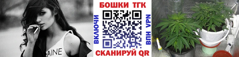 Бошки марихуана Ganja  купить наркоту  Кировград 